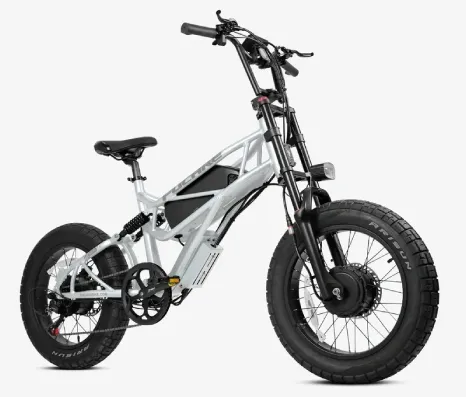 E-Bike Rentals