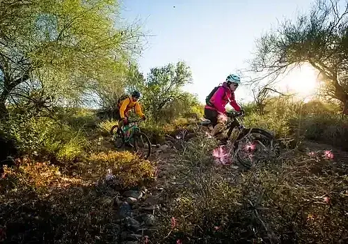 Arizona-trail-10