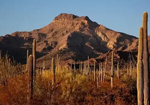 Arizona-trail-9